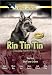 Rin Tin Tin Double Feature, Vol. 2