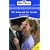 The Temp and the Tycoon (M&B Short Stories C1) (Mills & Boon 100th Birthday Collection)