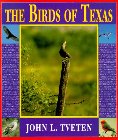 the birds of texas