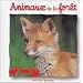 Animaux de la for�t
