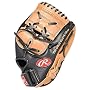 Rawlings Pro Lite Series 2-Piece Web Fielder's Baseball Glove (11.5-Inch)