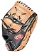 Rawlings Pro Lite Series 2-Piece Web Fielder's Baseball Glove (11.5 - Inches)