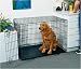 Pet Supplies : Fold & Carry Double Door Crate - 42 in. x 28 in. x 31 in.