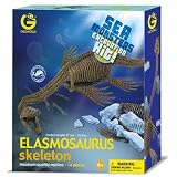 Sea Monsters Excavation Kit - Elasmosaurus Skeleton - Lock Ness Monster Dinosaur Dig