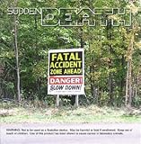Fatal Accident Zone