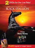 The Adventures of the Black Stallion (1990)/ Legend of Cougar Canyon (The Secret of Navajo Cave) (1976)