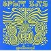 Beginner's Guide To Split Enz
