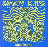 Spellbound: The Very Best of Split Enz