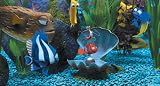 Finding Nemo (2 Disc Collector's Edition) [2003]