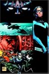Nightwing: Freefall