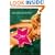 Star: A Novel