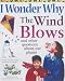 I Wonder Why the Wind Blows and Other Questions About Our Planet (I Wonder Why Series) (I Wonder Why Series)