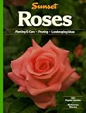 Roses (Gardening & Landscaping)
