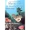 Top Atlantik, Nordsee und Ostsee