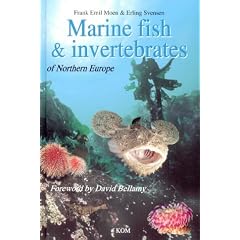 Marine Fish & Invertebrates of Northern Europe