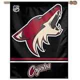 51ZTWp9 OBL. SL160  Wincraft Phoenix Coyotes 27X37 Vertical Flag 27 X 37