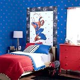 Spiderman Accent Mural