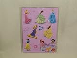 Disney Princess Magnets