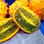 Melissa's Fresh Horned Melons, Set of 4