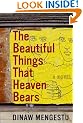 The Beautiful Things That Heaven Bears