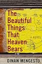 The Beautiful Things That Heaven Bears