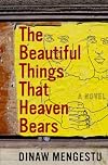 The Beautiful Things That Heaven Bears