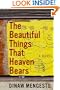 The Beautiful Things That Heaven Bears