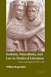 Sodomy, Masculinity and Law in Medieval Literature: France and England, 1050-1230 (Cambridge Studies in Medieval Literature)