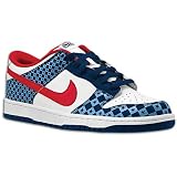 Nike 6.0 Dunk Low Skate Shoe - Men's