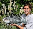 Taxidermy 20" Fiberglass Sea Bass Fish Wall Mount