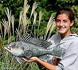 Taxidermy 20 Fiberglass Sea Bass Fish Wall Mount