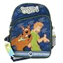Shaggy & Scooby Doo Backpack - Full Size School Book Bag