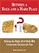 Between a Rock and a Hard Place: Making the Right 2010 Roth IRA Conversion Decision for You