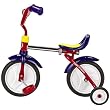 Radio Flyer Grow 'N' Go BikeTM