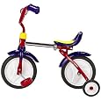 Radio Flyer Grow `N` Go BikeTM