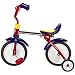 Radio Flyer Grow 'N' Go Bike