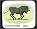 Mouse Pad with africa, connochaete, running, gnu, animal, horns, ox