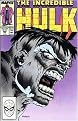 Hulk Visionaries (Peter David Collection) (Incredible Hulk) (Paperback)