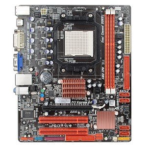 Biostar AMD Motherboard A880G+