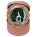 Limited Edition Violano Jewelry Case Travel Alarm Clock Bernese Mountain Dog