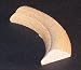 1/2" Single Bead Beech Short Curve Corner Moulding [CAPITOL CITY LUMBER]