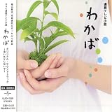 NHK�A���e���r�����u�킩�΁v�I���W�i���E�T�E���h�g���b�N