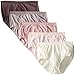 Hanes Women's Cotton with Lace Brief Panty (Pack of 5)