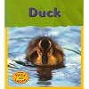 Duck (Life Cycles (Heinemann Paperback))