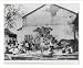 Historic Print (S): [Children borrowing books from street library in Loyang, China]