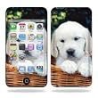Protective Vinyl Skin Decal for iPod Touch 4G 4th Generation - Puppy