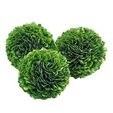 Preserved Boxwood Ball 4"