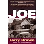 Joe book cover
