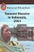Tsunami Disaster in Indonesia, 2004 (Natural Disasters)