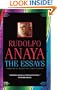 The Essays (Chicana and Chicano Visions of the Americas series)